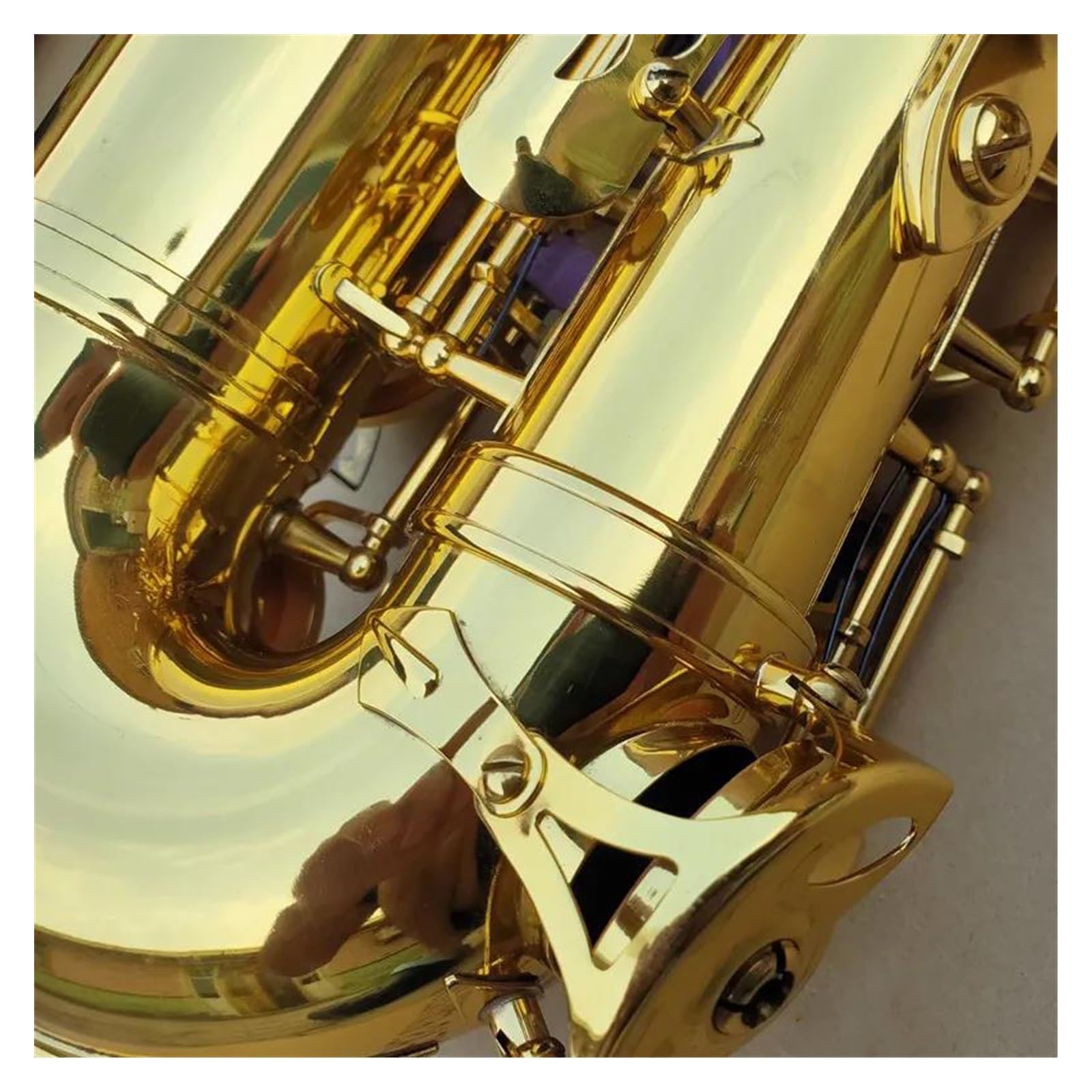 塩水】 アルト Eb 🎖 チューンサックス金管楽器ゴールドラッカー